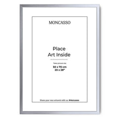 Silver Fine Art Frame, 50 x 70 cm