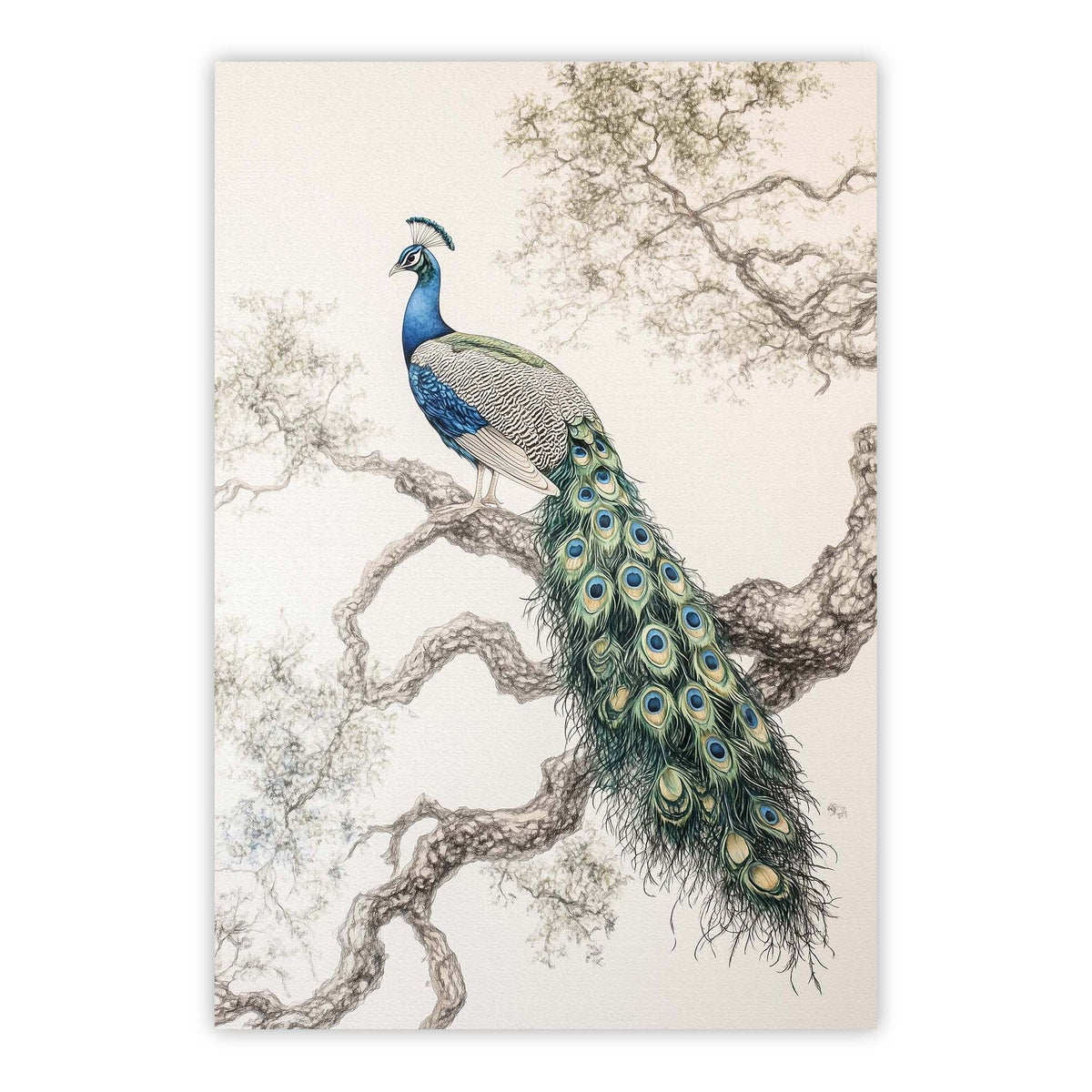 Elegant Peacock Print