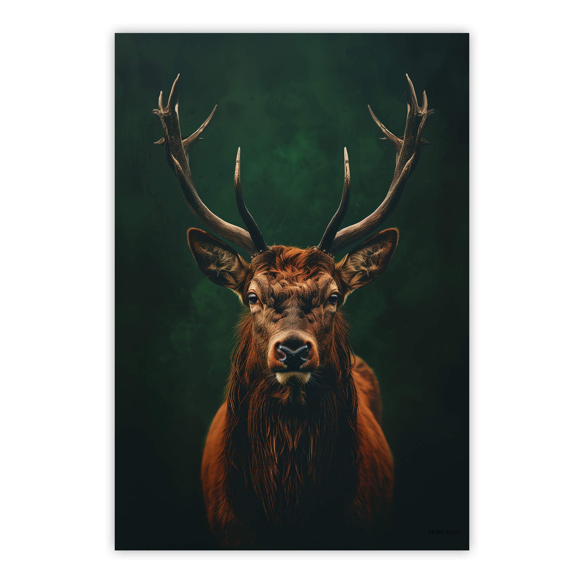 Highland Stag Print