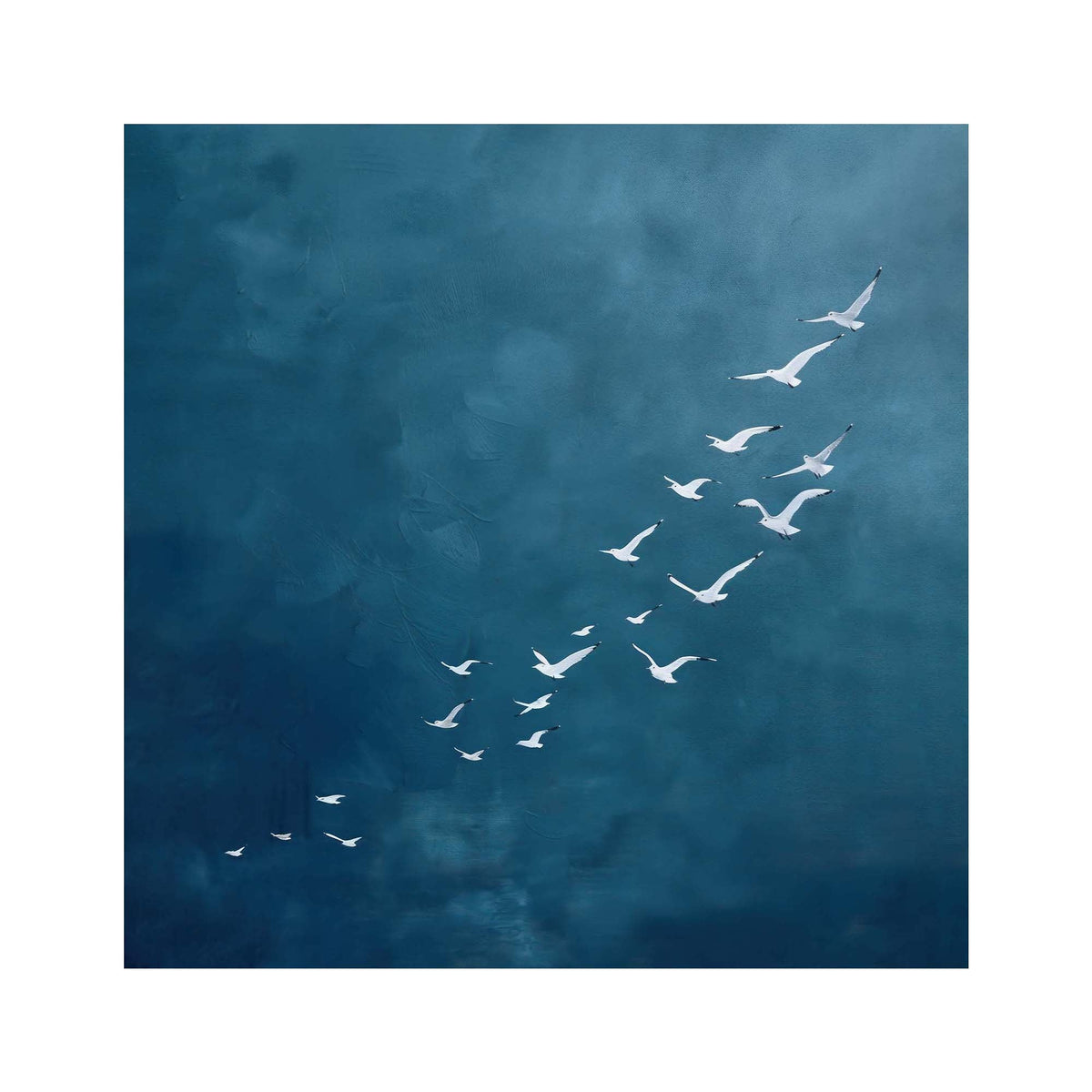 Ocean Rise Print