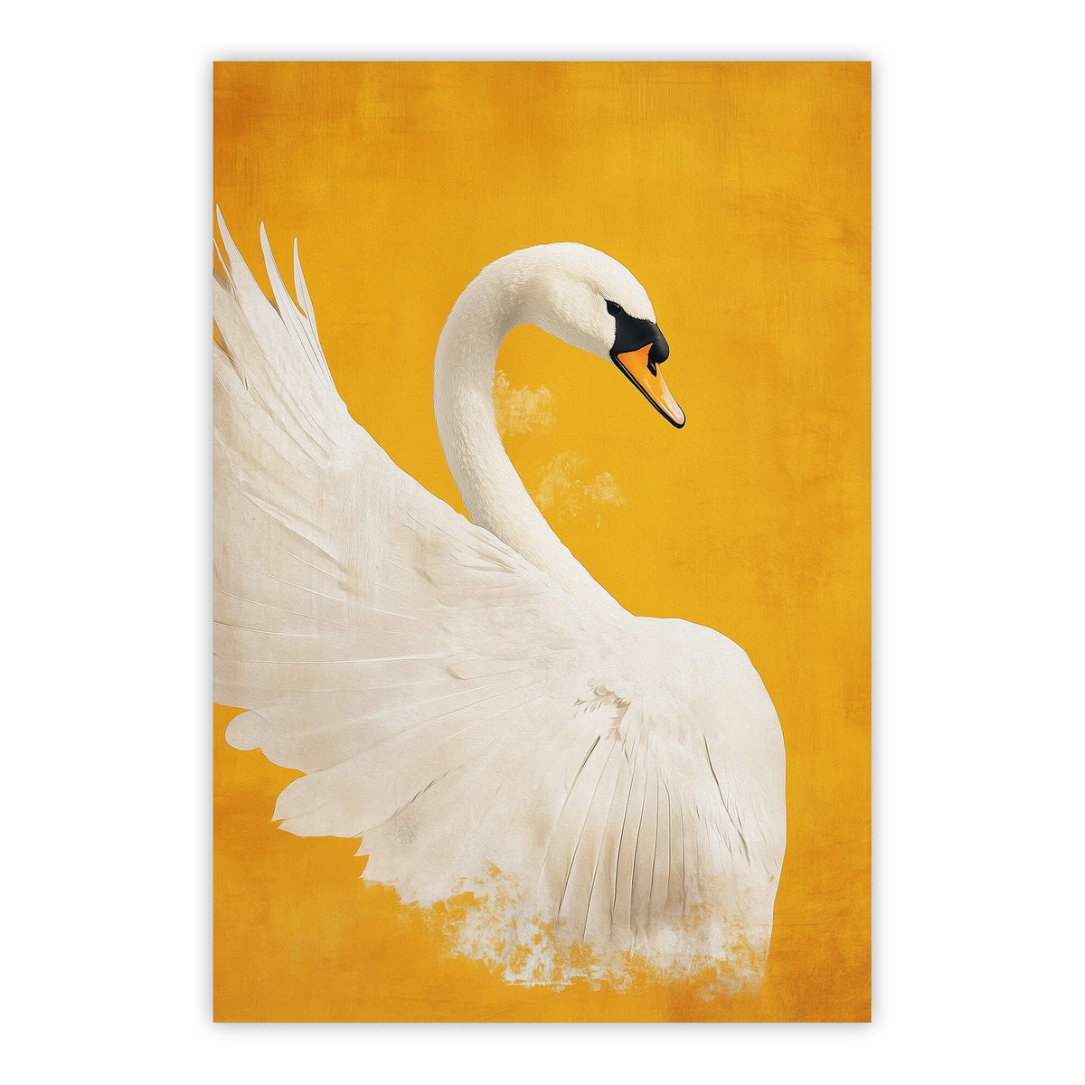 White Swan No4 Print