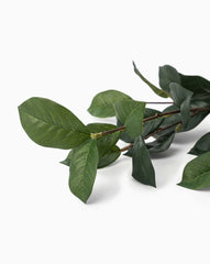Faux Gardenia Leaf Stem