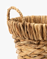 Water Hyacinth Baskets with Handles (Set of 2)